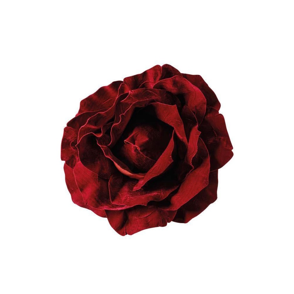 TESTA ROSA 757536 CM - BURGUNDY